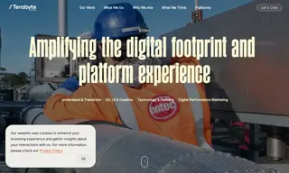 Preview of the Entec Case Study