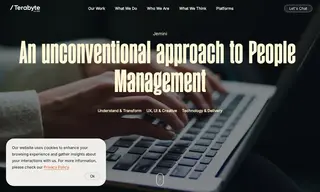 Preview of the Jemini Case Study