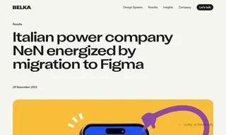 Preview of the NEN Case Study