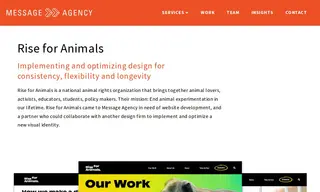 Preview of the Rise for Animals Case Study