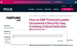 Preview of the S&P Financial Leader Case Study