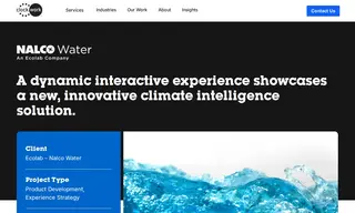Preview of the Ecolab (Nalco Water) Case Study
