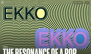 Preview of the Ekko Case Study