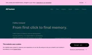 Preview of the Fáilte Ireland Case Study