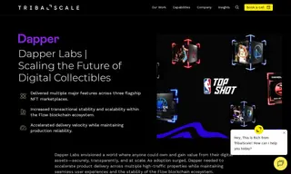 Preview of the Dapper Labs Case Study
