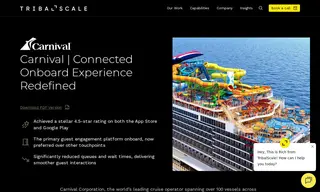 Preview of the Carnival Corporation Case Study