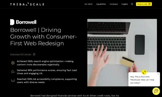Preview of the Borrowell Case Study