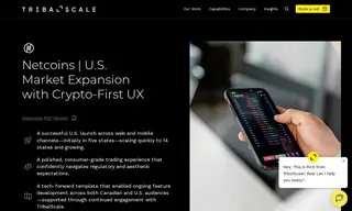 Preview of the Netcoins Case Study