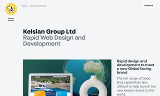 Preview of the Kelsian Group Ltd Case Study