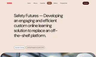 Preview of the Safety Futures Case Study