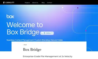 Preview of the Box Bridge Case Study