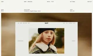 Preview of the Molo Case Study