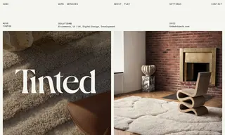 Preview of the Tinted Case Study