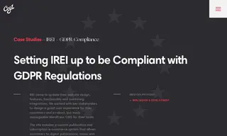 Preview of the Institutional Real Estate Inc. Case Study
