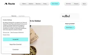 Preview of the Wellbel Case Study