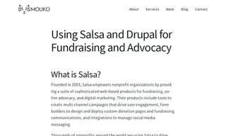 Preview of the Salsa Case Study