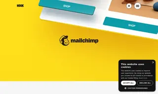 Preview of the Mailchimp Case Study