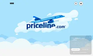 Preview of the Priceline Case Study