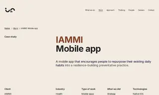 Preview of the Iammi Case Study