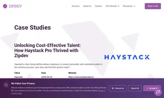 Preview of the Haystack Case Study