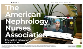 Preview of the American Nephrology Nurses Association Case Study
