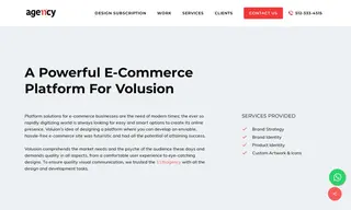 Preview of the Volusion Case Study