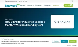 Preview of the Gibraltar Industries Case Study