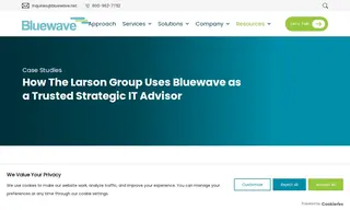 Preview of the The Larson Group Case Study