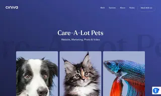 Preview of the Care-A-Lot Pet Supply Case Study