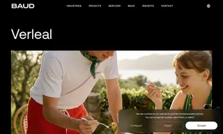 Preview of the Verleal Case Study