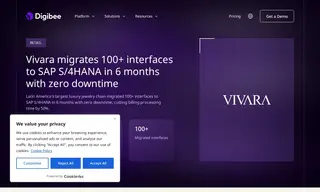 Preview of the Vivara Case Study