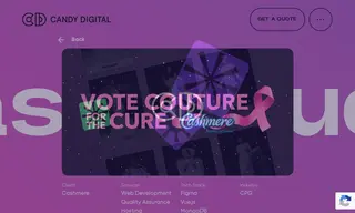 Preview of the Cashmere Case Study