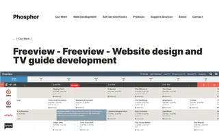 Preview of the Freeview Case Study
