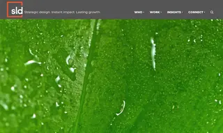 Preview of the Tetley Case Study