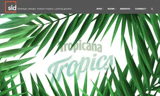 Preview of the Tropicana Case Study