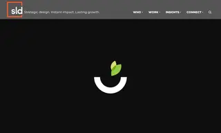 Preview of the Chopped Leaf Case Study
