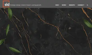 Preview of the Clover Leaf Seafoods Case Study