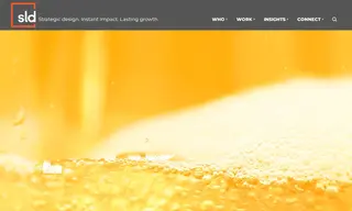 Preview of the Moosehead Lager Case Study