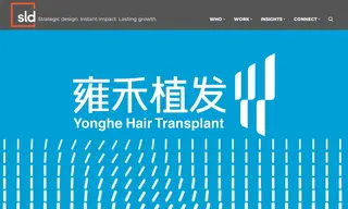 Preview of the Yonghe Hair Transplant Case Study