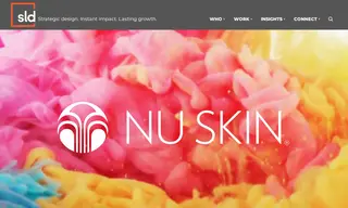 Preview of the Nu Skin Case Study