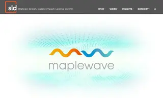 Preview of the Maplewave Case Study