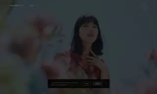 Preview of the Agnès b Case Study