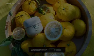 Preview of the Shiseido Case Study