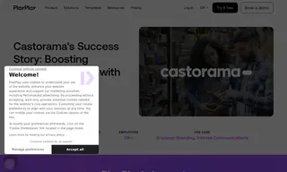 Preview of the Castorama Case Study