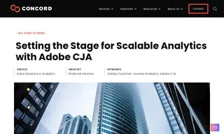 Preview of the Top Financial Services Firm Case Study