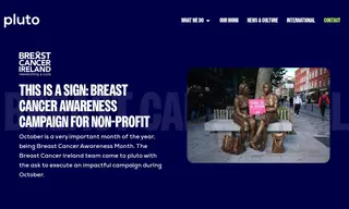 Preview of the Breast Cancer Ireland Case Study