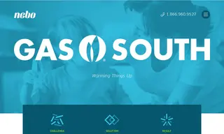 Preview of the Gas South Case Study