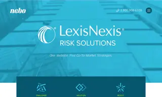 Preview of the LexisNexis Risk Solutions Case Study