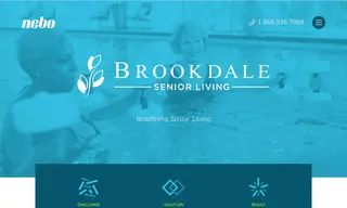 Preview of the Brookdale Case Study