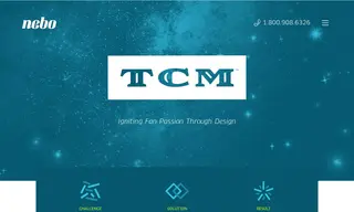 Preview of the Turner Classic Movies Case Study